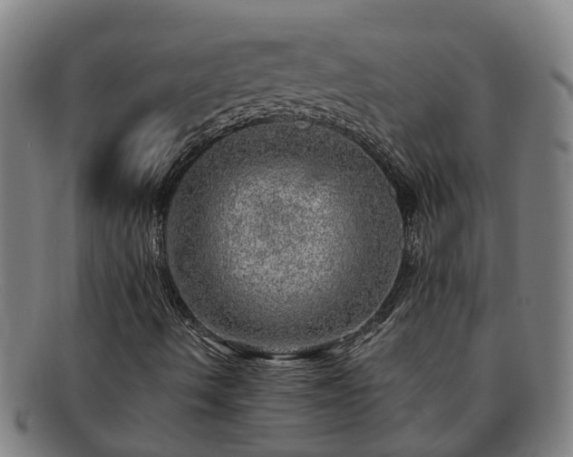 X0000091721490200708311126