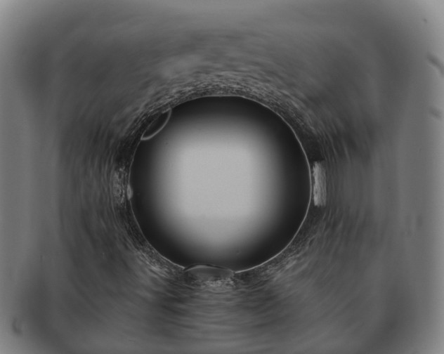 X0000091721491200708311126