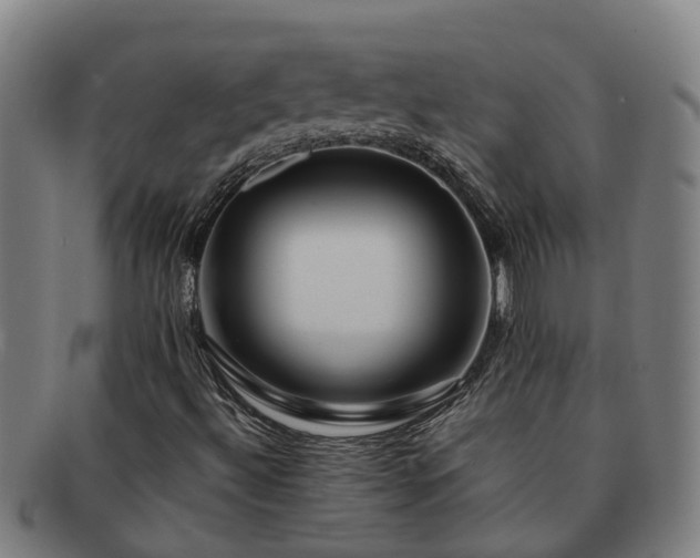 X0000091721492200708311126
