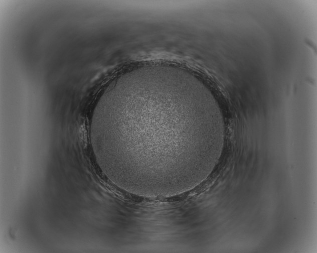 X0000091721493200708311126