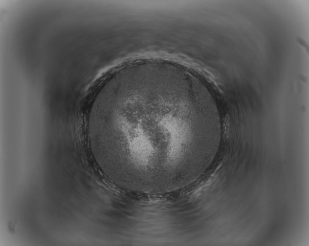 X0000091721494200708311126