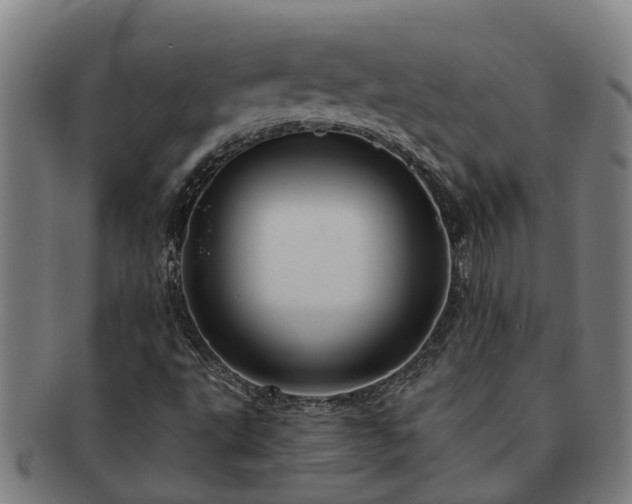 X0000091721495200708311126