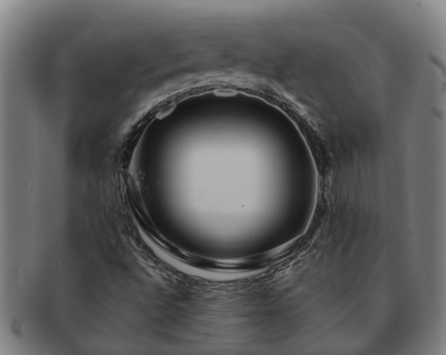 X0000091721496200708311126