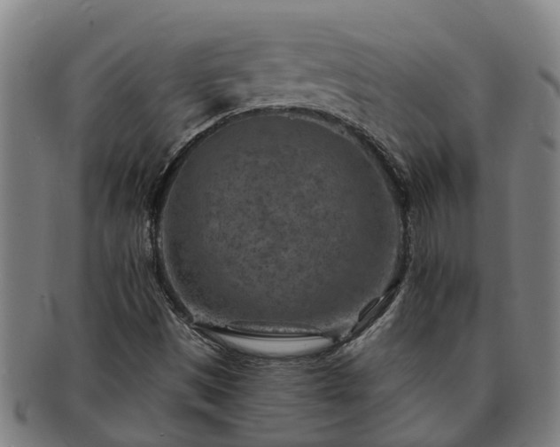 X0000091721497200708311126