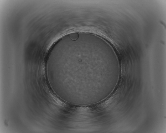 X0000091721498200708311126