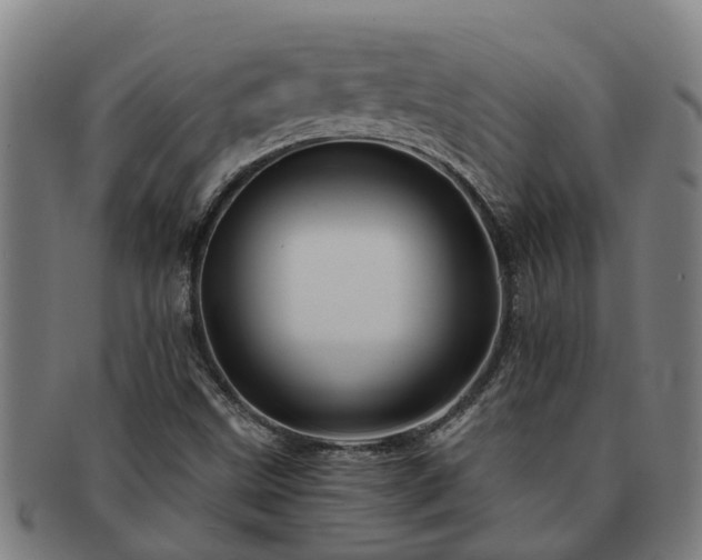 X0000091721499200708311126