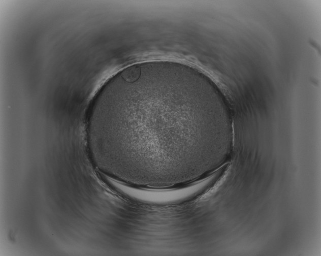 X0000091721501200708311126