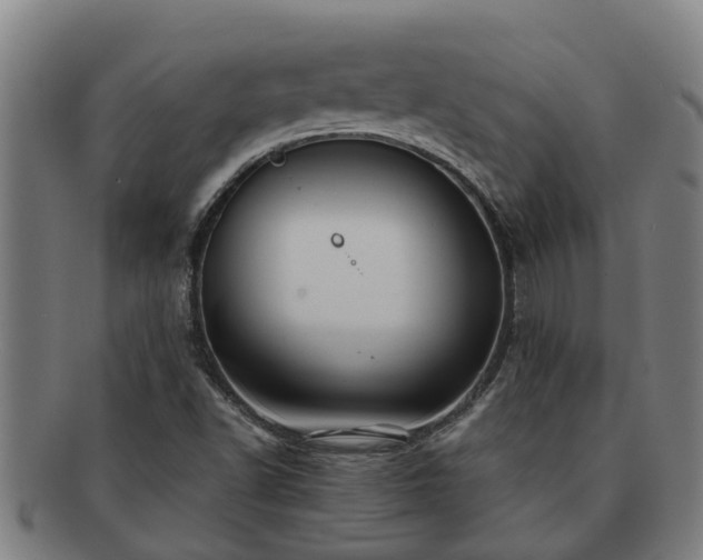 X0000091721502200708311126