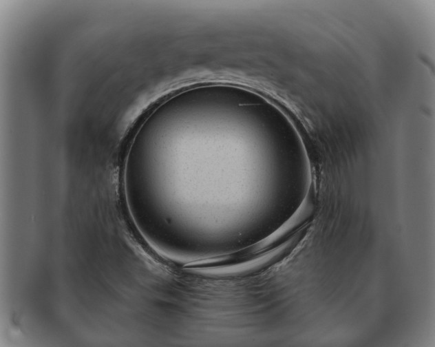X0000091721503200708311126