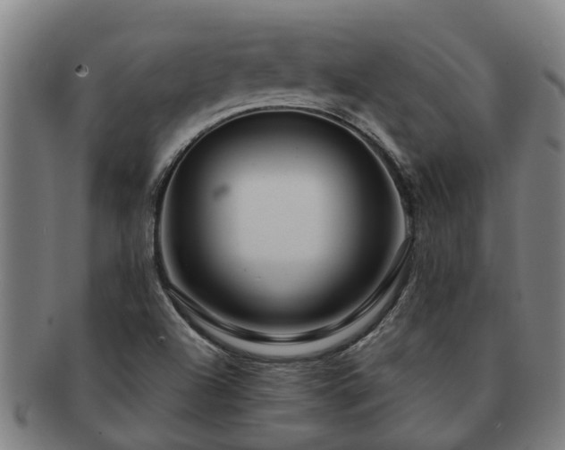 X0000091721504200708311126