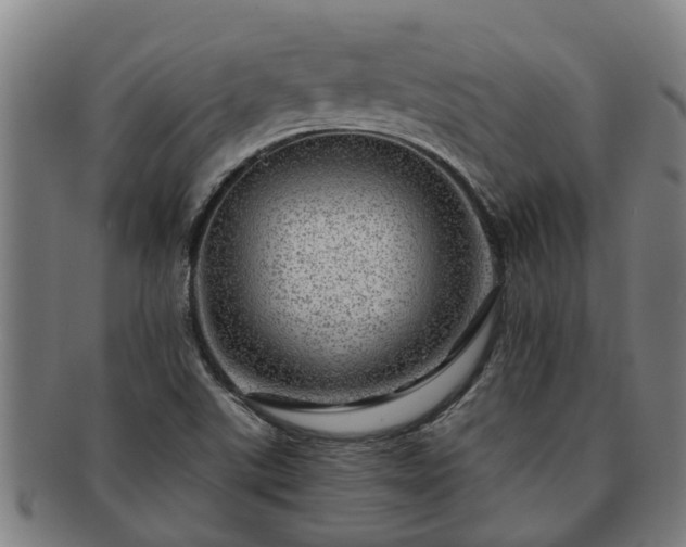 X0000091721507200708311126