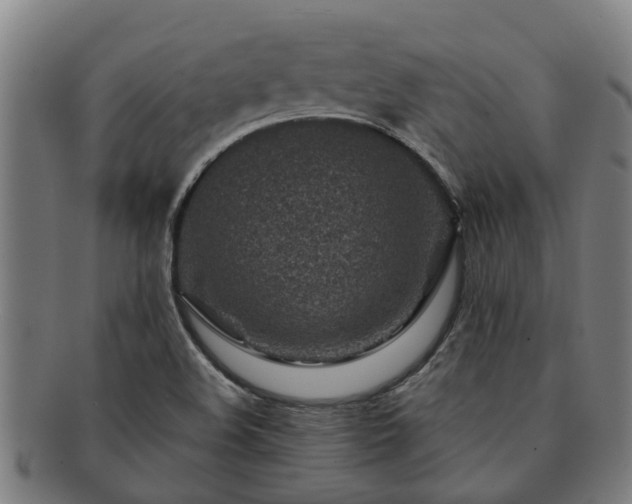 X0000091721508200708311126