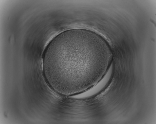 X0000091721509200708311126