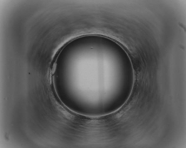 X0000091721510200708311126