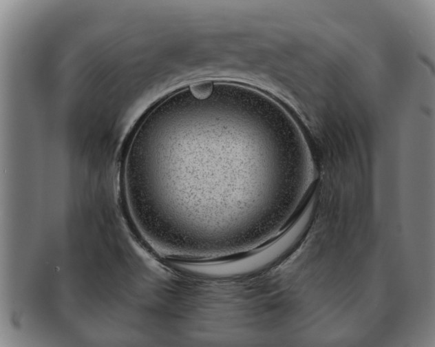 X0000091721511200708311126