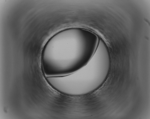 X0000091721512200708311126