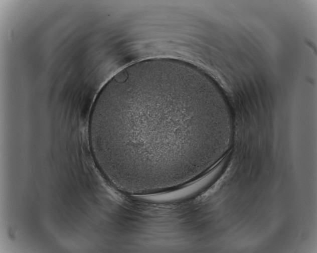 X0000091721513200708311126