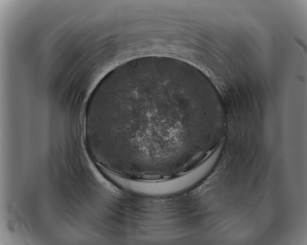 X0000091721515200708311126