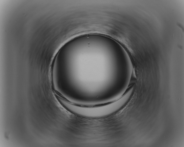 X0000091721516200708311127