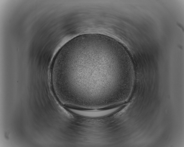 X0000091721517200708311127