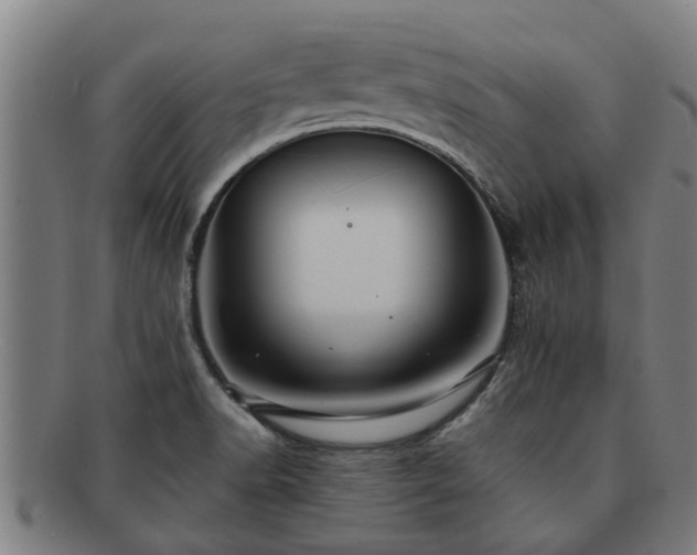 X0000091721518200708311127