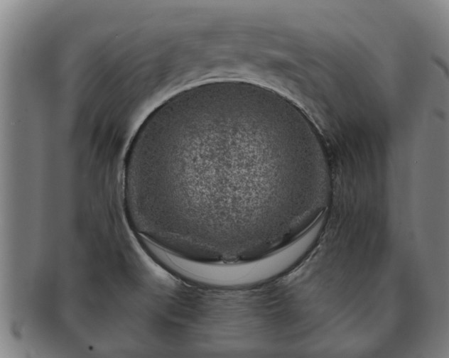 X0000091721519200708311127