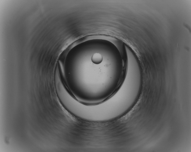X0000091721521200708311127