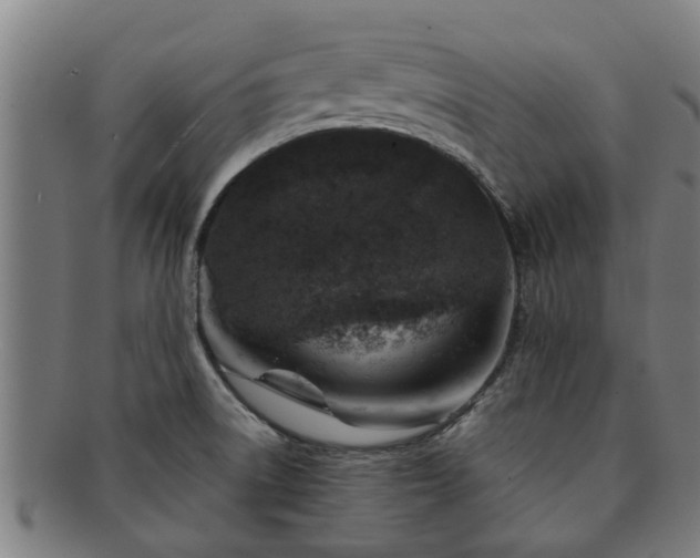 X0000091721522200708311127