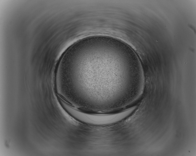 X0000091721523200708311127