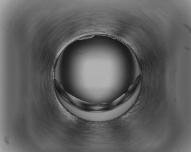 X0000091721524200708311127