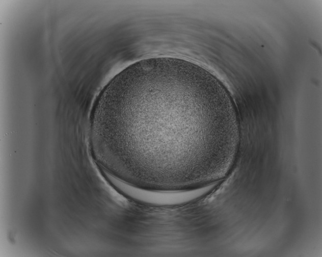 X0000091721525200708311127