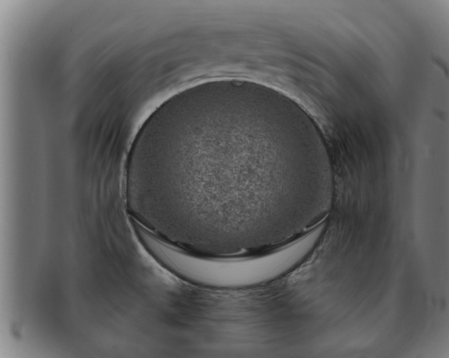 X0000091721527200708311127