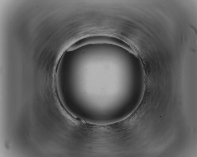 X0000091721528200708311127