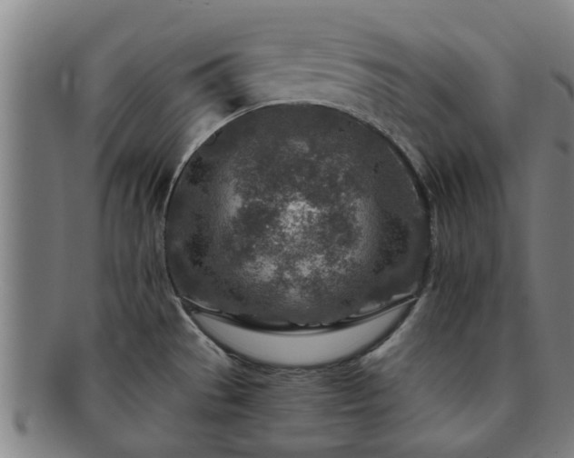 X0000091721529200708311127