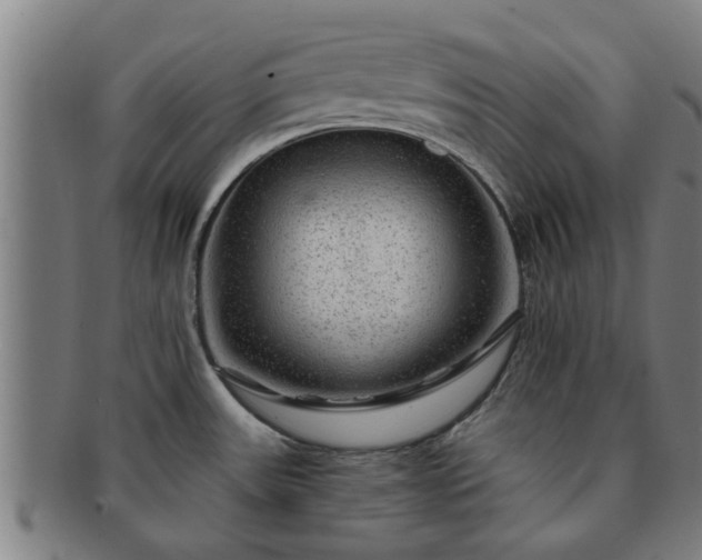 X0000091721531200708311127