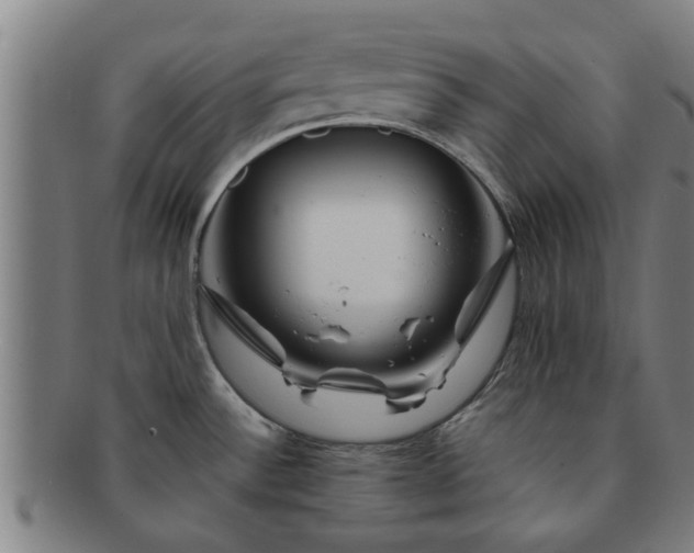 X0000091721532200708311127