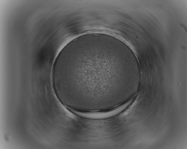 X0000091721533200708311127
