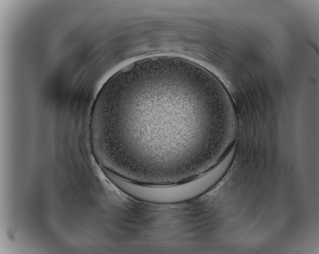 X0000091721534200708311127