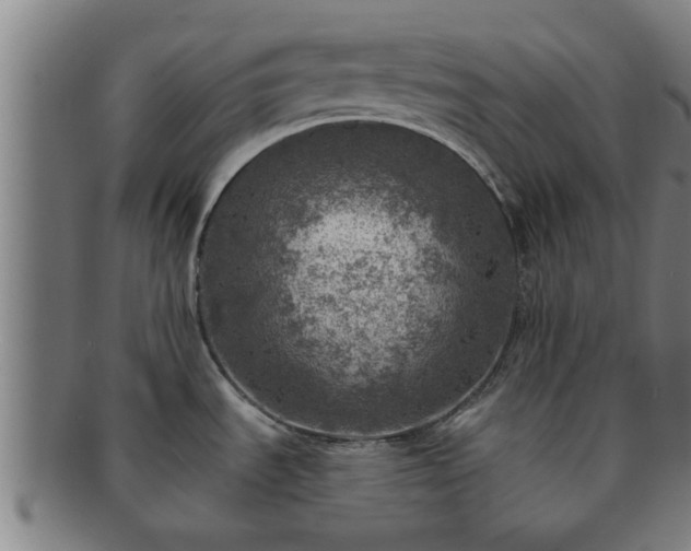X0000091721535200708311127