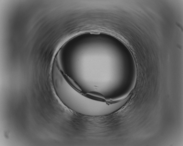 X0000091721536200708311127