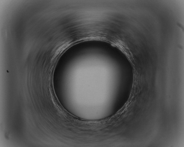 X0000091720001200709071446