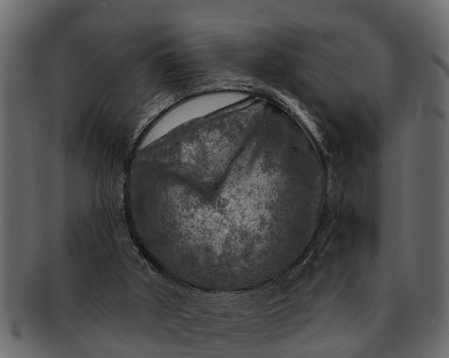 X0000091720010200709071446