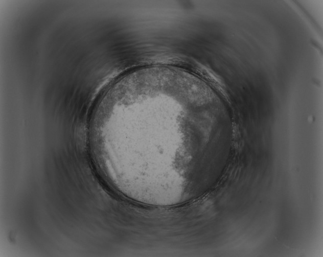 X0000091720012200709071446