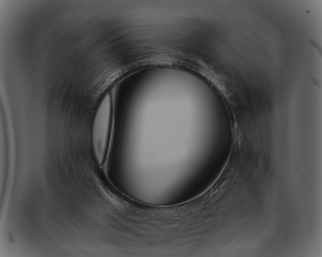 X0000091720013200709071446