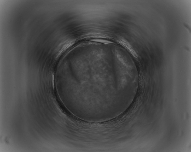 X0000091720014200709071446