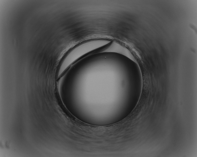 X0000091720015200709071446