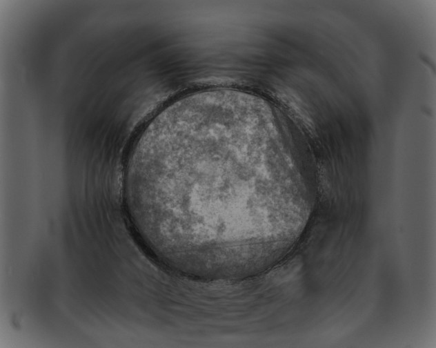 X0000091720016200709071446