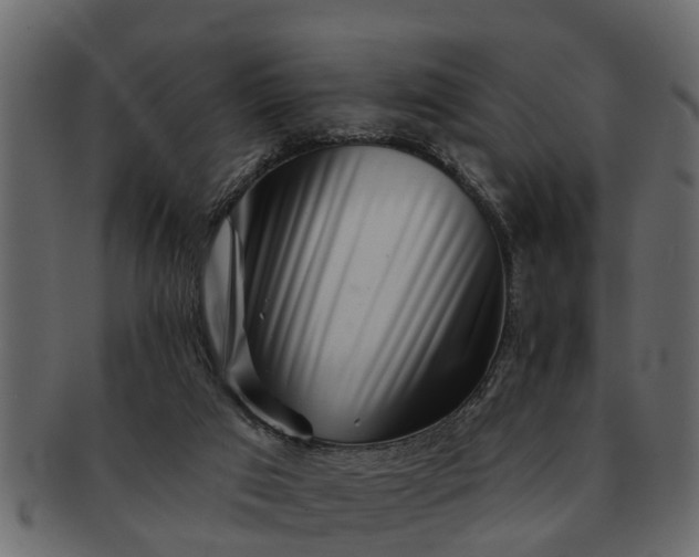 X0000091720017200709071446