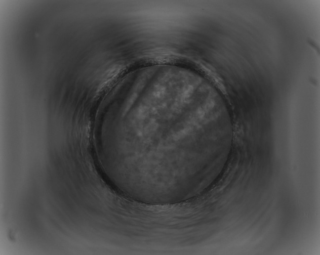 X0000091720018200709071446