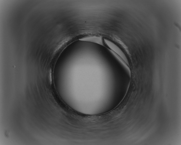 X0000091720020200709071446